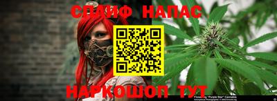 дживик Нарткала