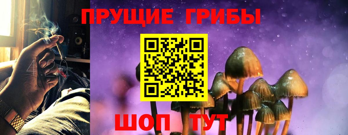 Галлюциногенные грибы мухоморы Сыктывкар
