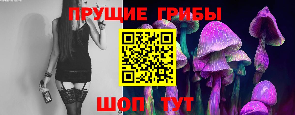 Сыктывкар  купить   Вход с VPN  Галлюциногенные грибы мухоморы 